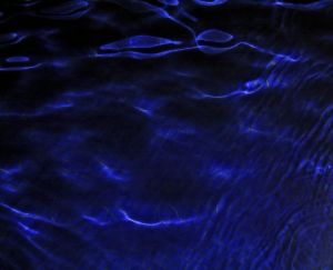 darkbluewater2