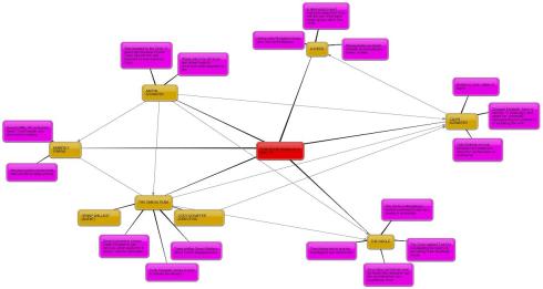 WH-MindMap-sm