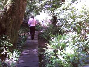 Boardwalk down Cape Flattery trail