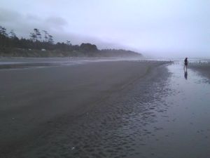 Kalaloch Beach in the rain
