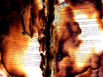 burning book