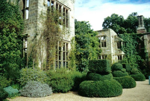 stone mansion in ruins, ivy climbing wall, thick shrubs